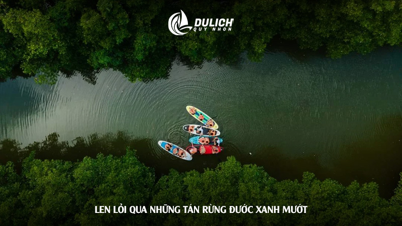 Len lỏi qua những tán rừng đước xanh mướt