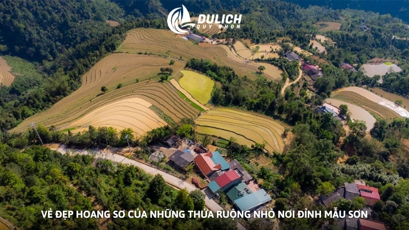 Vẻ đẹp hoang sơ của những thửa ruộng nhỏ nơi đỉnh Mẫu Sơn