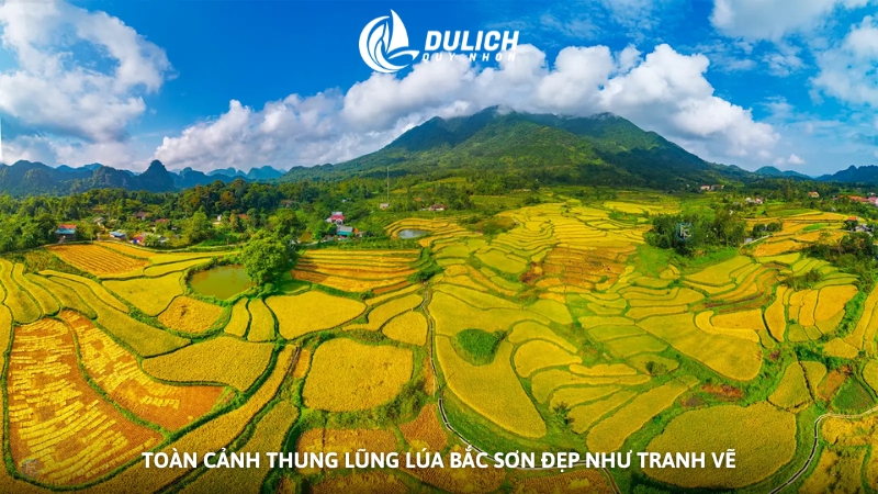 Toàn cảnh thung lũng lúa Bắc Sơn đẹp như tranh vẽ