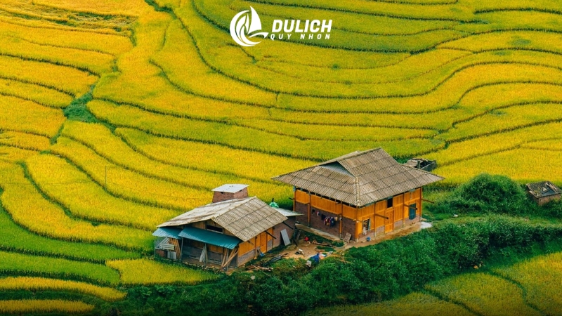 Những thửa ruộng mờ ảo trong sương sớm Sa Pa